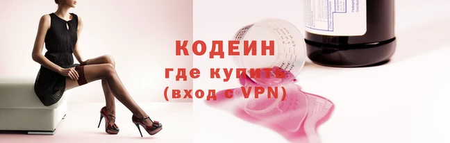 крисы Вязьма