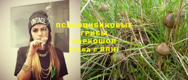 крисы Вязьма