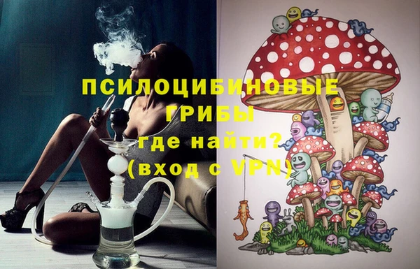 герыч Вяземский