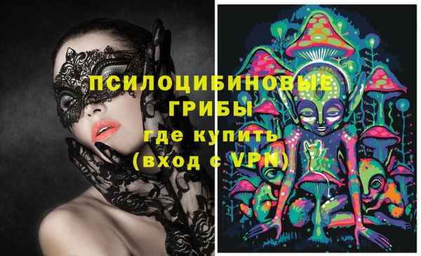крисы Вязьма